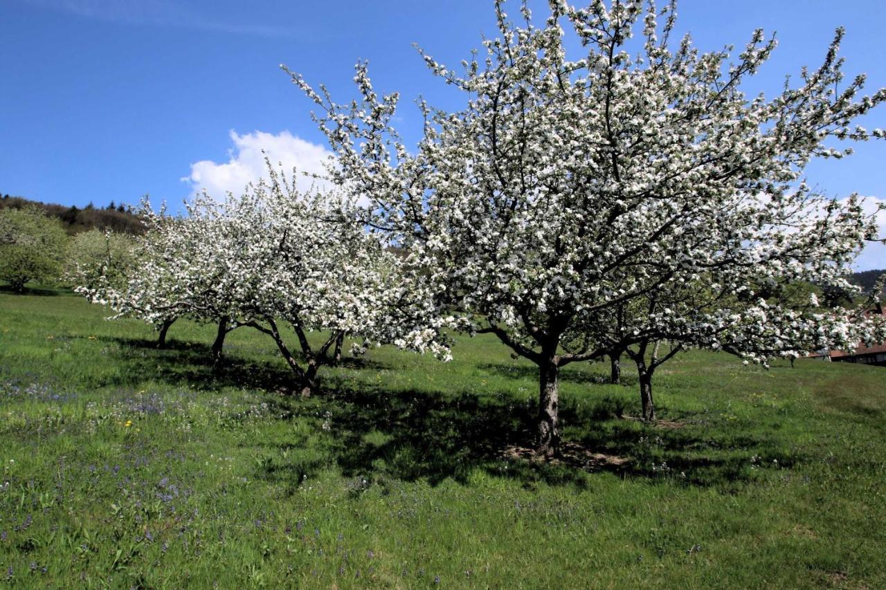 Appartamento Wilderer Stube Sasbachwalden Esterno foto